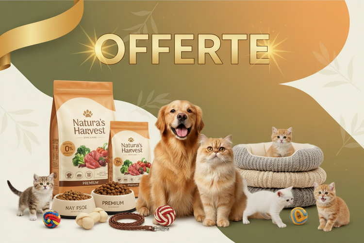 Offerte