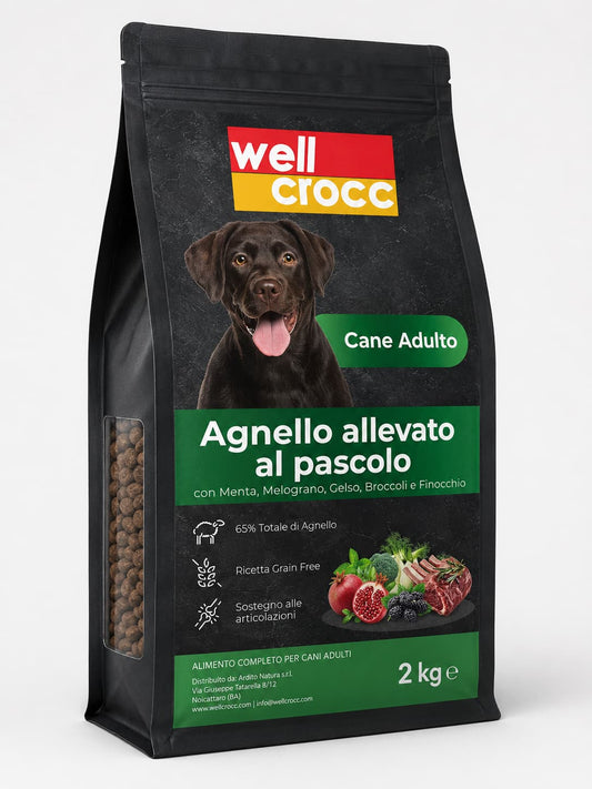 Wellcrocc Cane Adulto - Agnello Superfood Grain Free