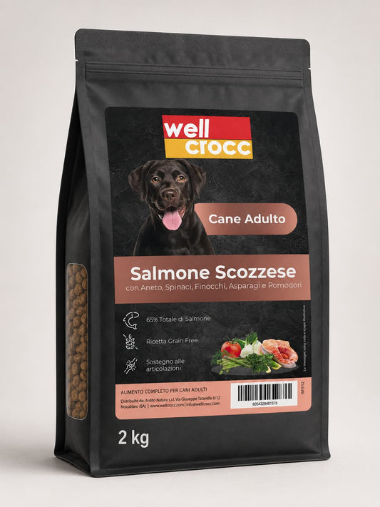 Wellcrocc Cane Adulto – Salmone Superfood Grain Free